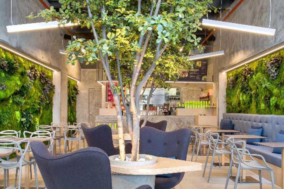 7 Restaurants with Magnificent Greenwalls